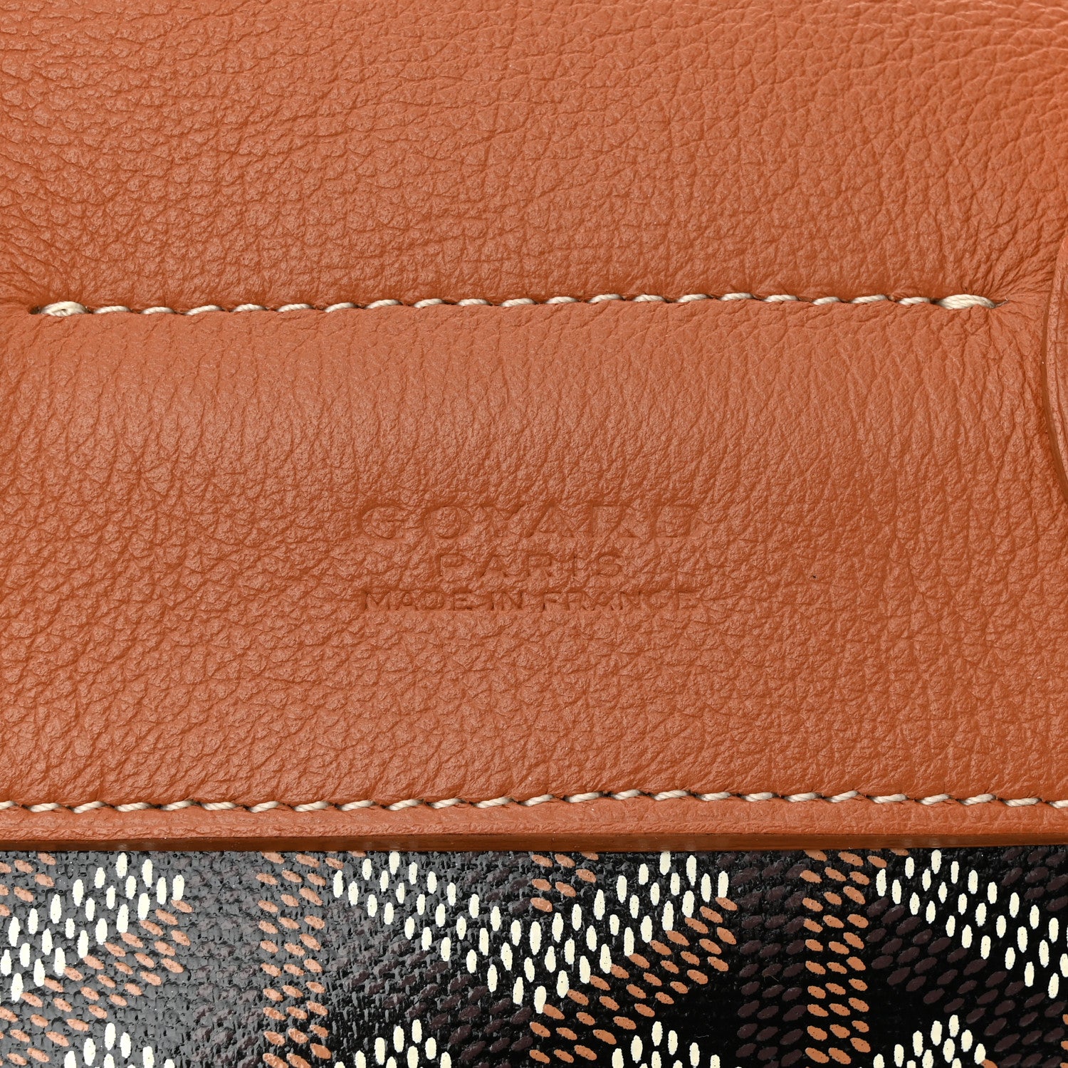 Goyard Goyardine Calfskin Mini Alpin Backpack Black Gold 6 of 9