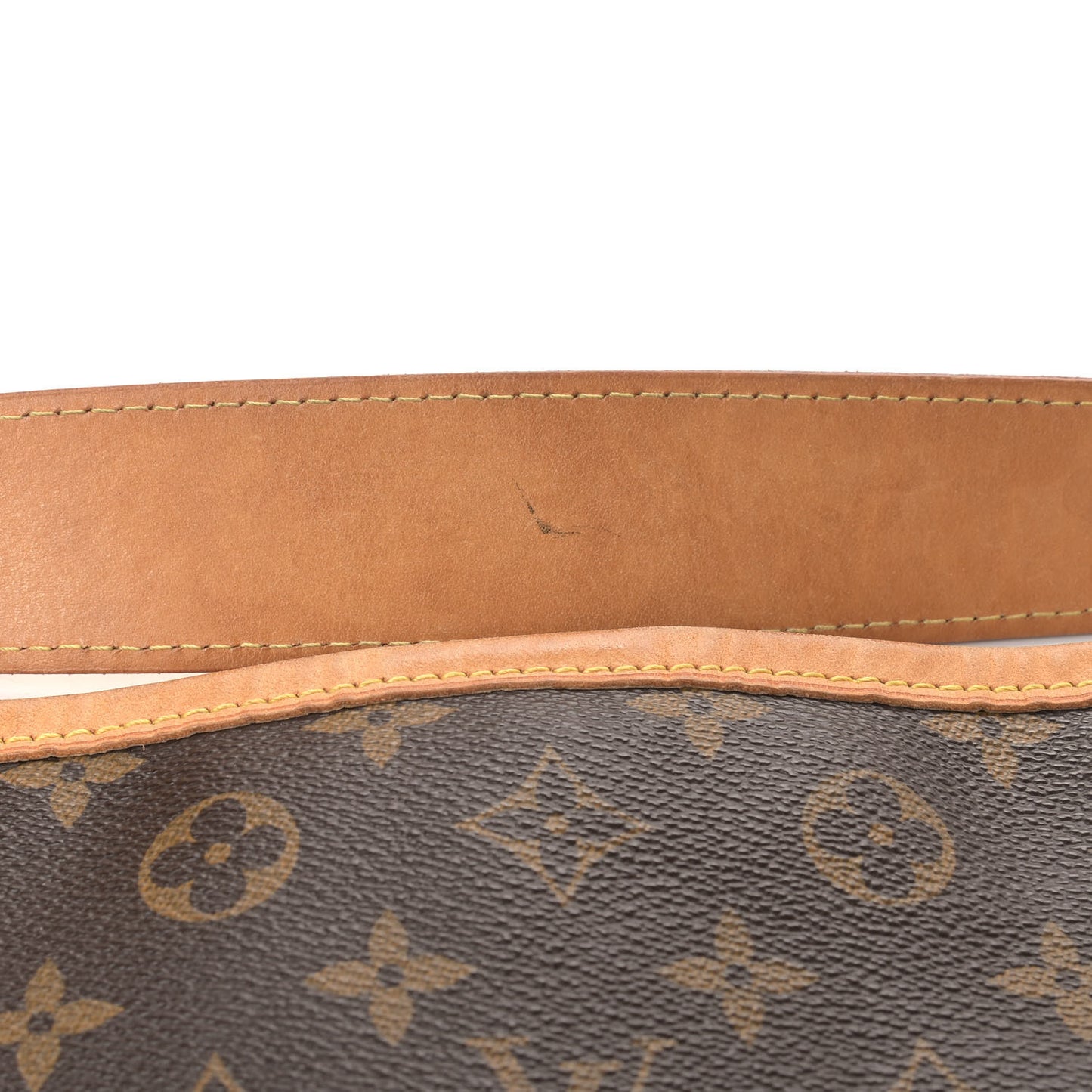 Monogram Delightful PM