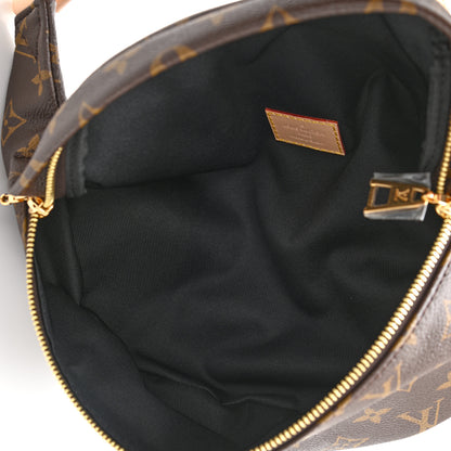 Louis Vuitton Monogram Bumbag 5 of 10