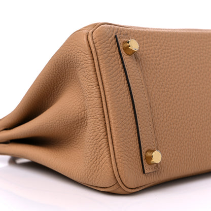 Hermes Togo Birkin 25 Chai 8 of 10