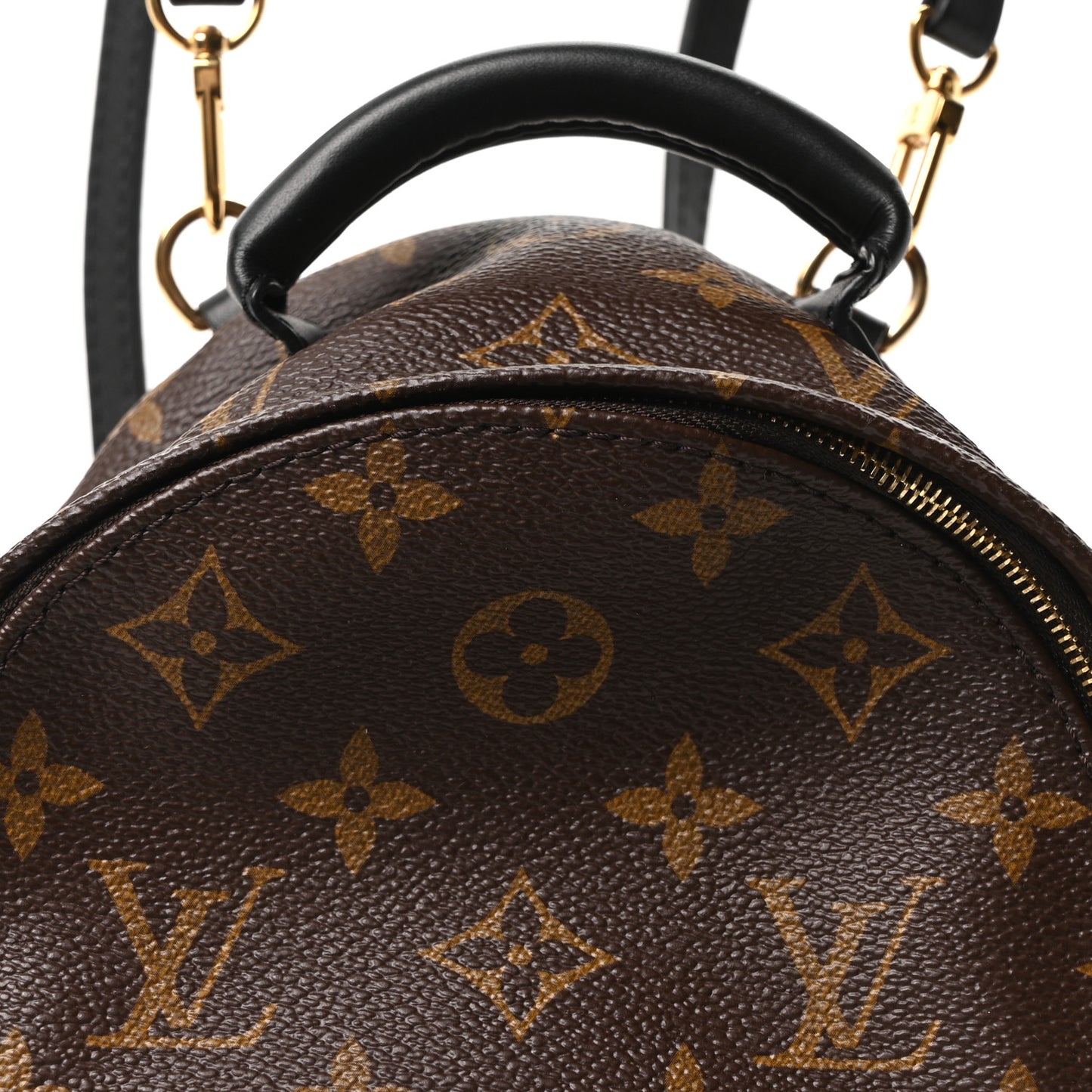 Monogram Palm Springs Backpack Mini