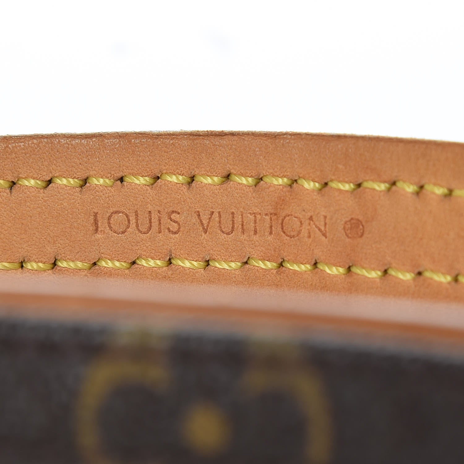 Louis Vuitton Monogram Baxter Dog Leash MM 3 of 7