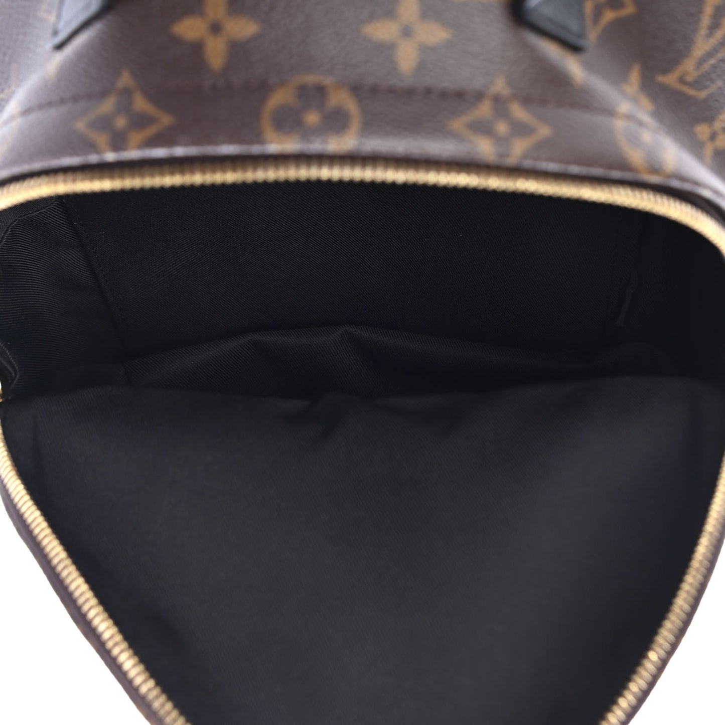 Monogram Palm Springs Backpack PM