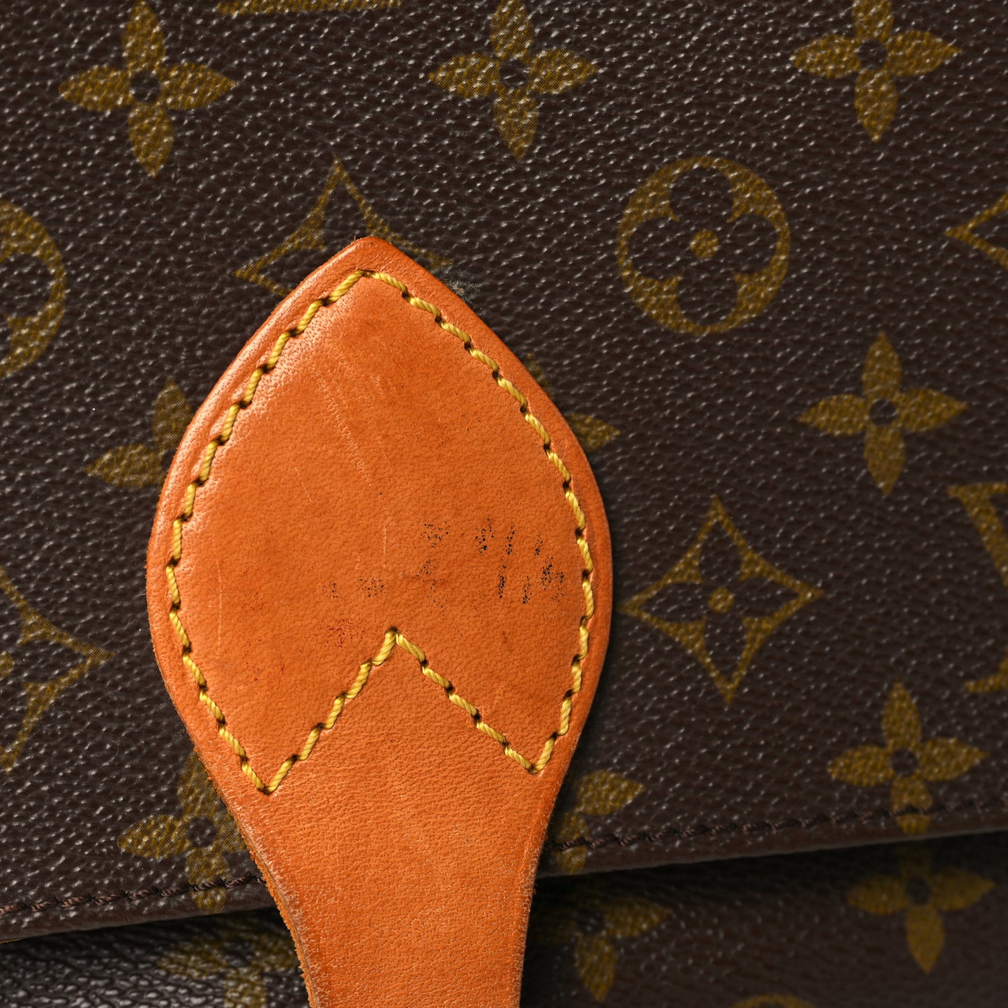 Monogram Cartouchiere 22