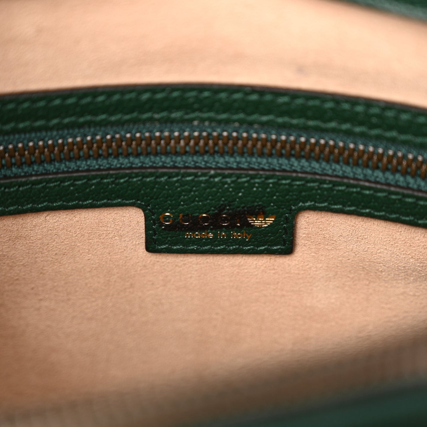 X Adidas Textured Dollar Calfskin Stripe Studded Large Diana Tote Bag Green Multicolor