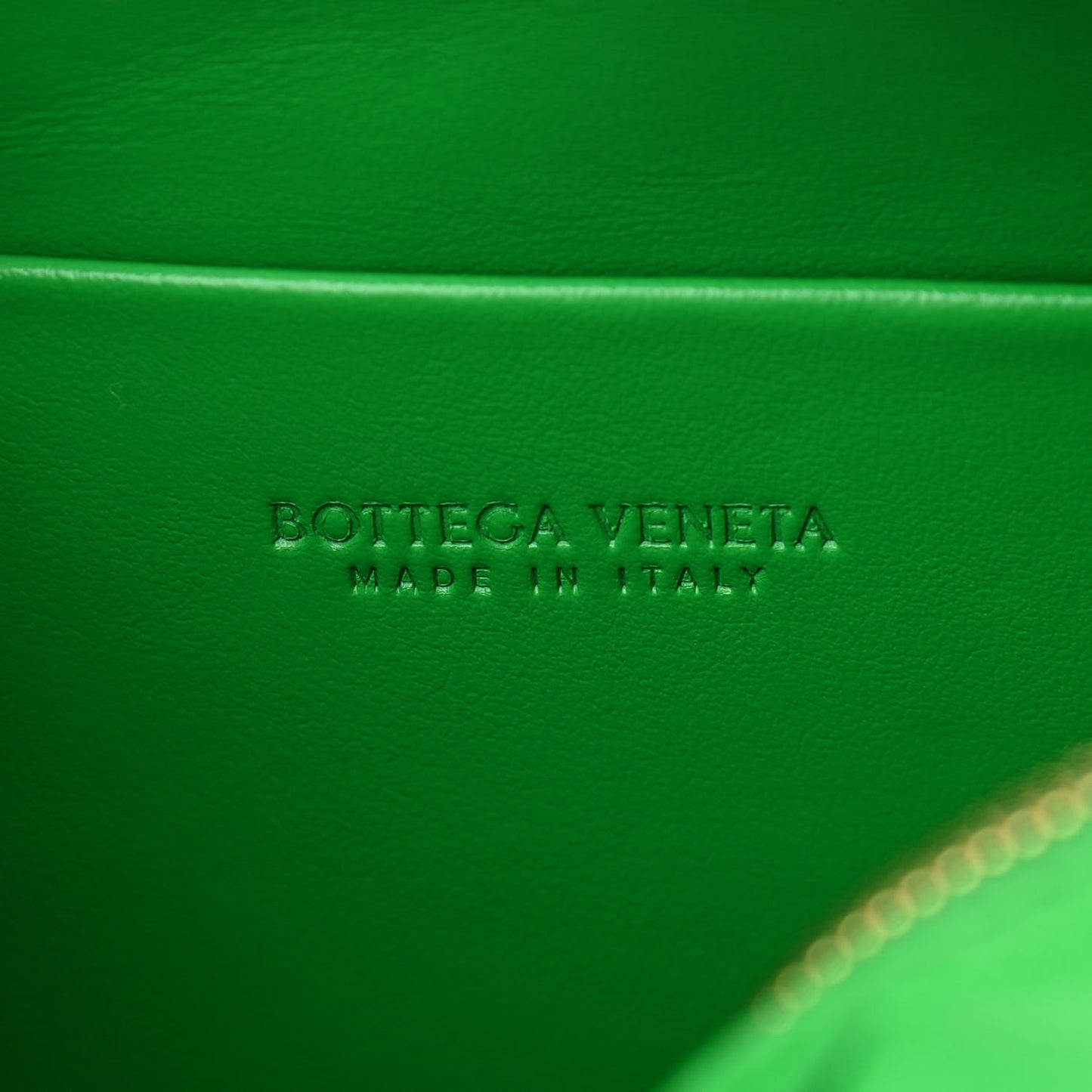 Nappa Intrecciato Mini Loop Camera Bag Parakeet