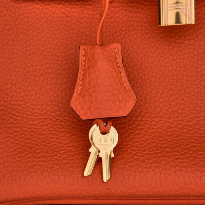 Hermes Togo Birkin 25 Feu 11 of 33