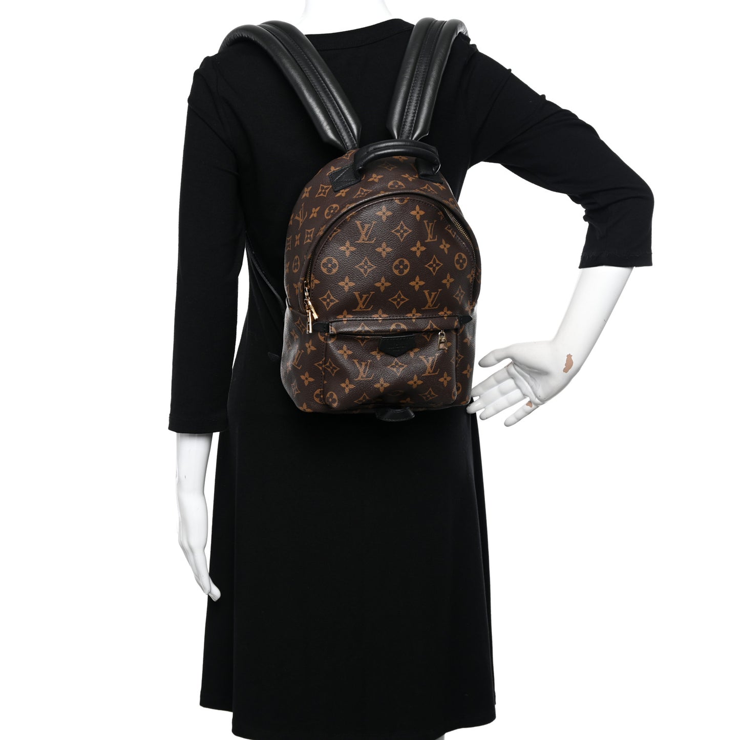 Monogram Palm Springs Backpack PM