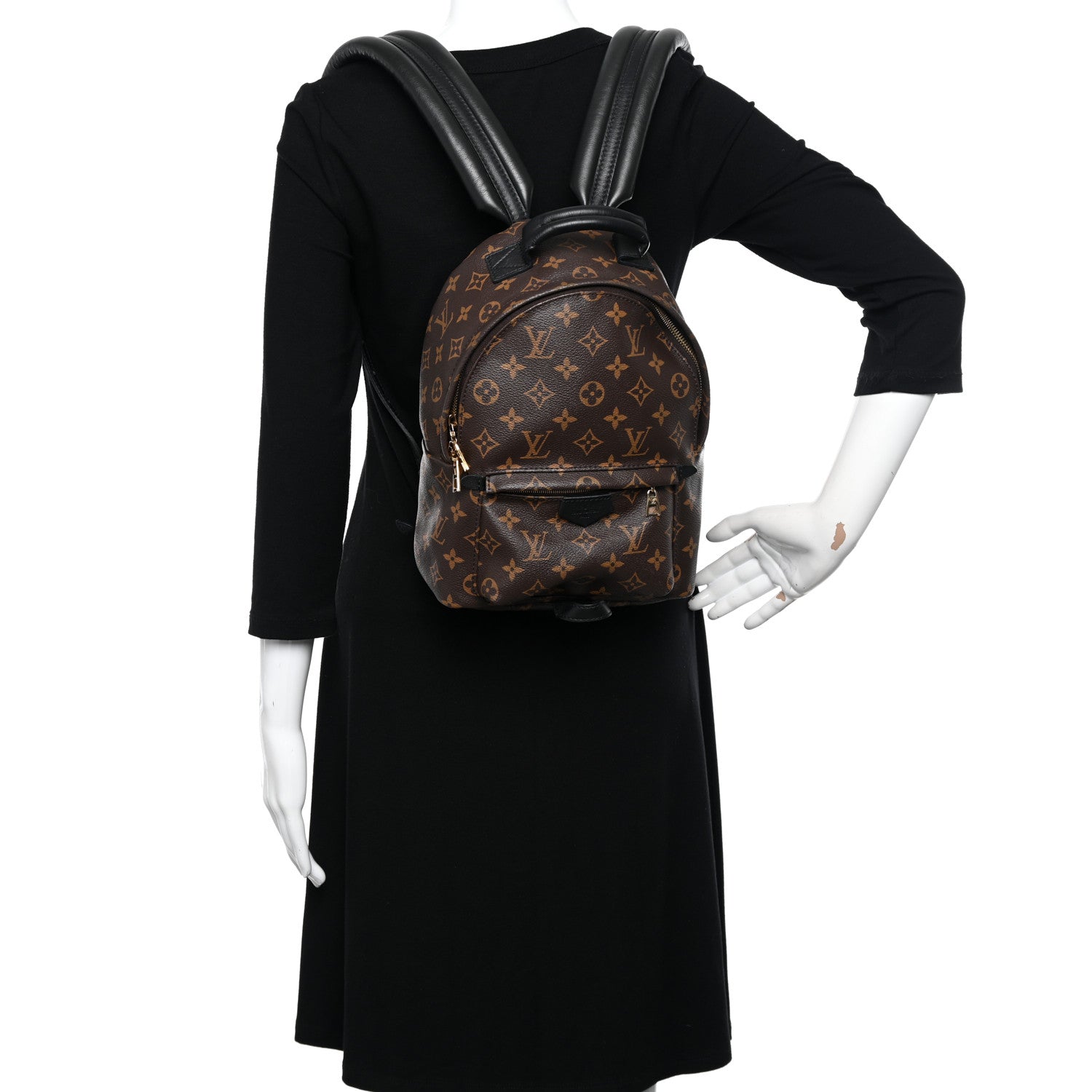 Louis Vuitton Monogram Palm Springs Backpack PM 2 of 12