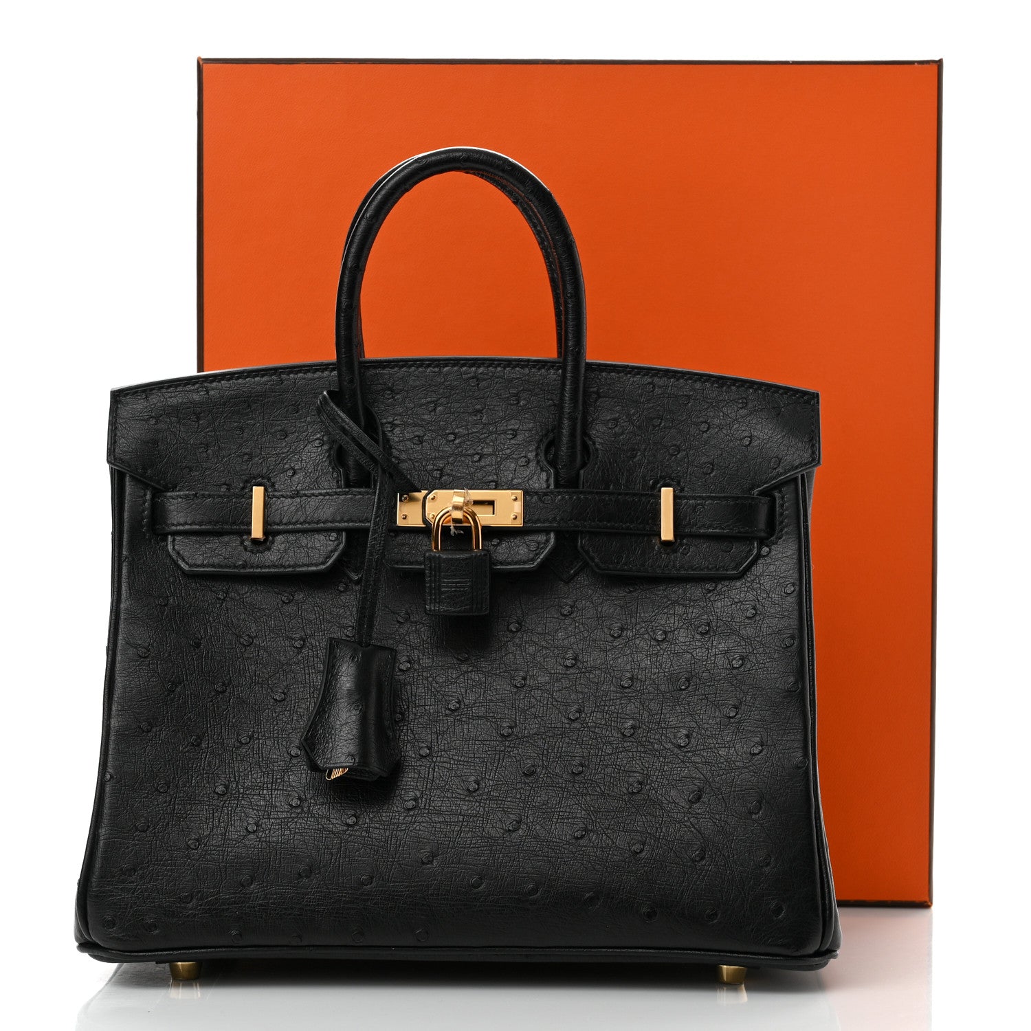 Hermes Ostrich Birkin 25 Black 14 of 14
