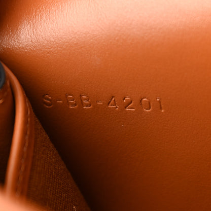 Celine Triomphe Canvas Lambskin Wallet On Strap Tan 9 of 13