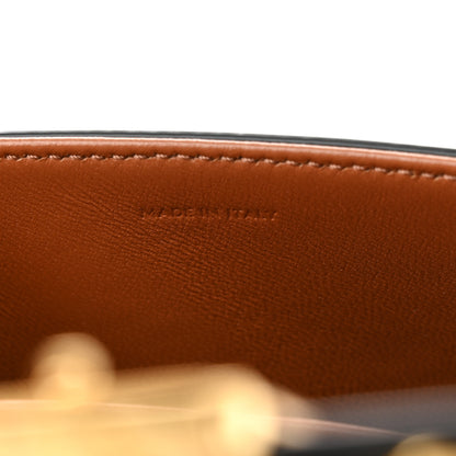 Celine Canvas Calfskin Triomphe Shoulder Bag Tan 7 of 12