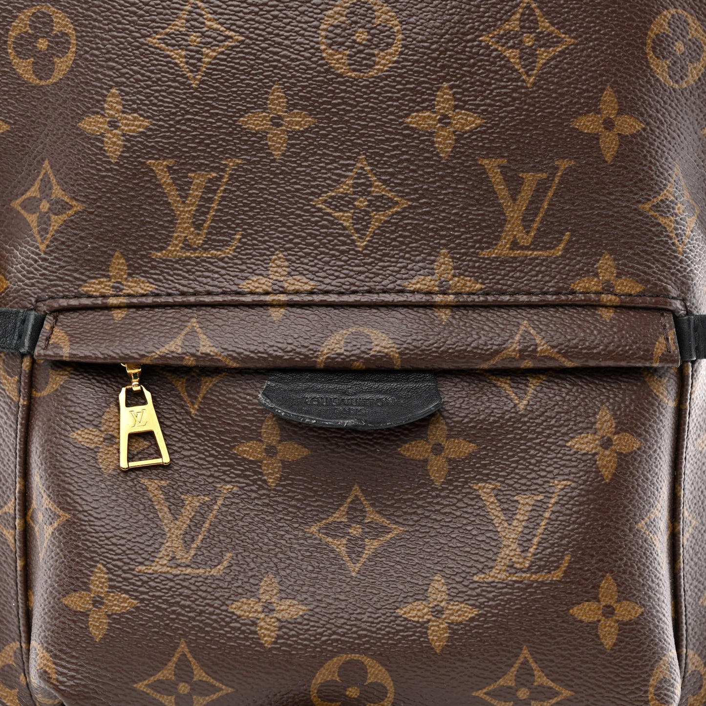 Monogram Palm Springs Backpack PM