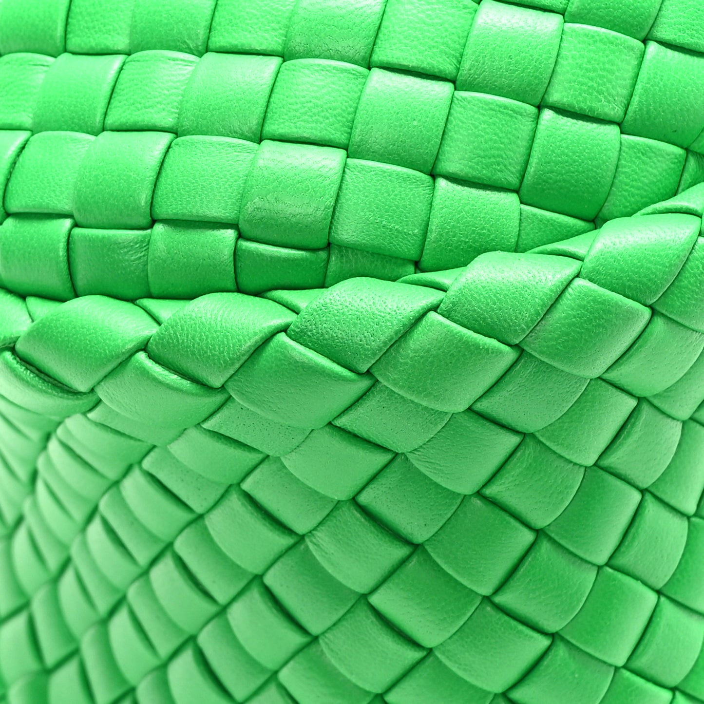 Rubber Padded Intrecciato Mini Jodie Parakeet