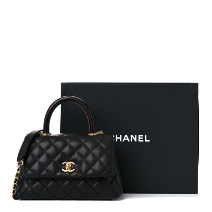 Chanel Caviar Lizard Embossed Quilted Mini Coco Handle Flap Black 10 of 10