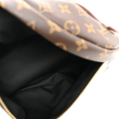 Louis Vuitton Monogram Bumbag 4 of 8