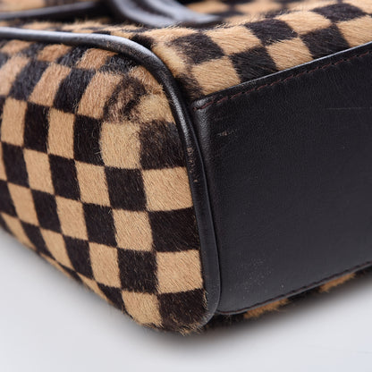 Louis Vuitton Damier Calf Hair Sauvage Lionne 11 of 16