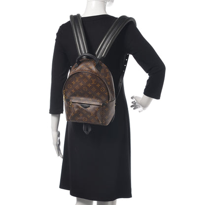 Louis Vuitton Monogram Palm Springs Backpack PM 2 of 18