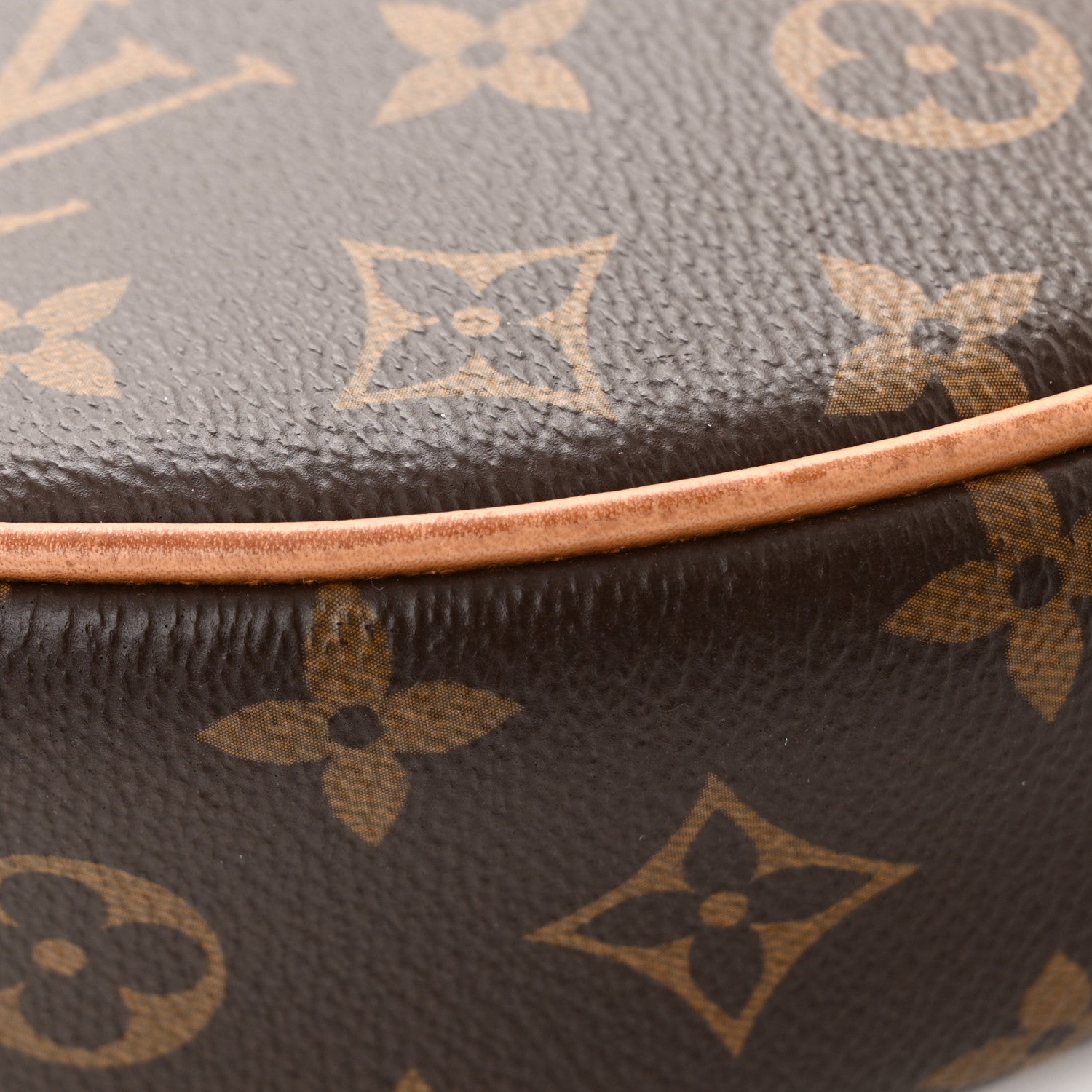 Louis Vuitton Monogram Loop 13 of 17