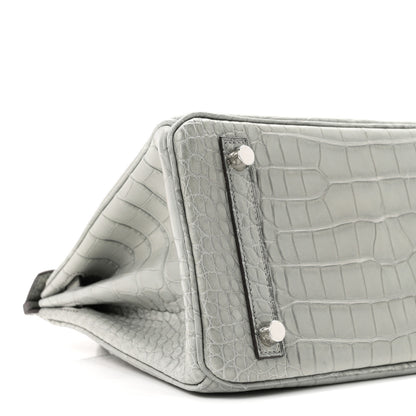 Hermes Matte Alligator Birkin 25 Gris Ciment 9 of 11
