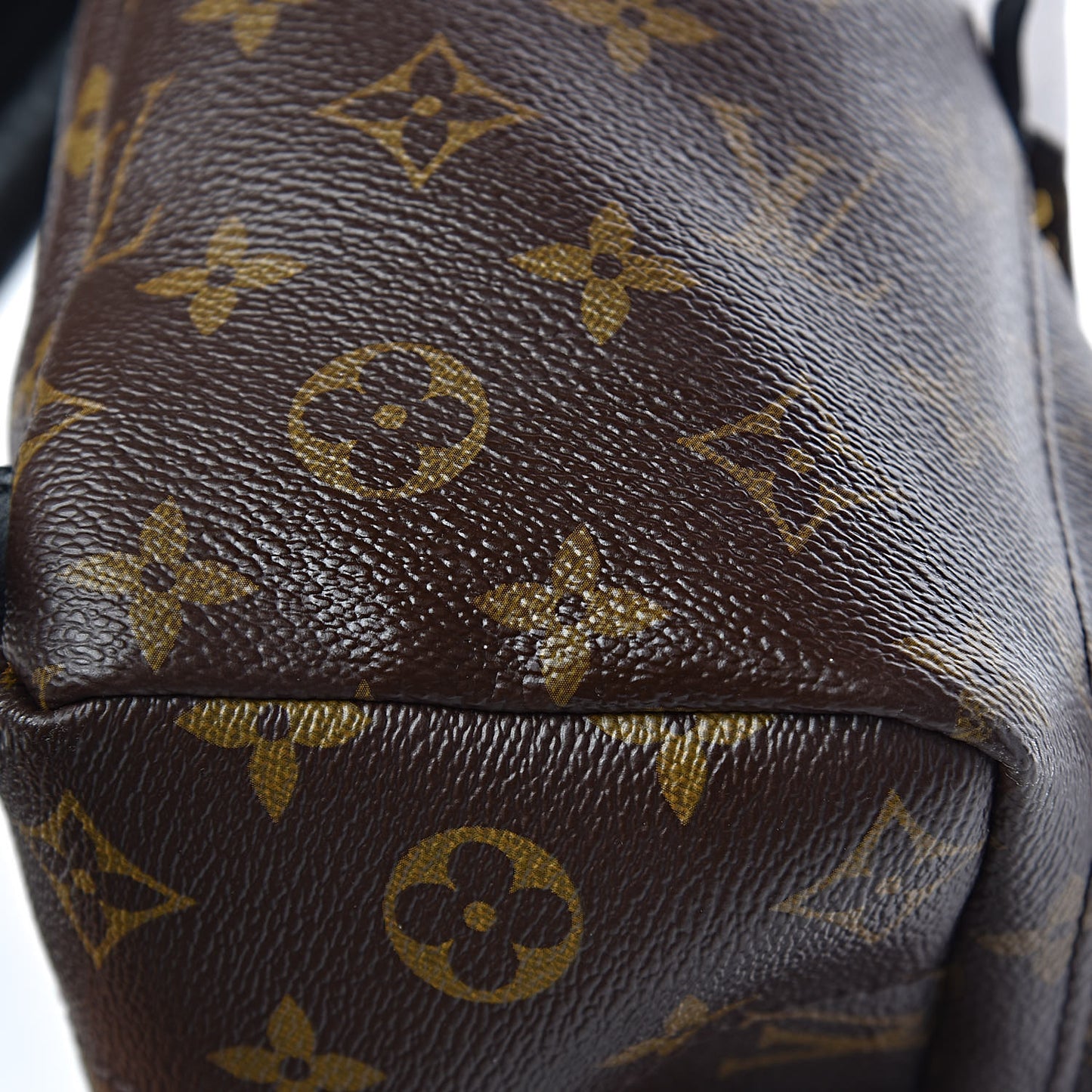 Monogram Palm Springs Backpack PM