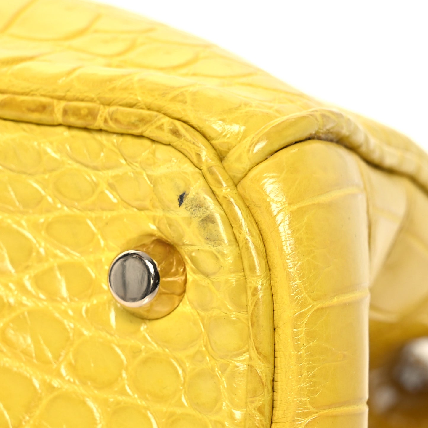 Crocodile Large Diorissimo Yellow