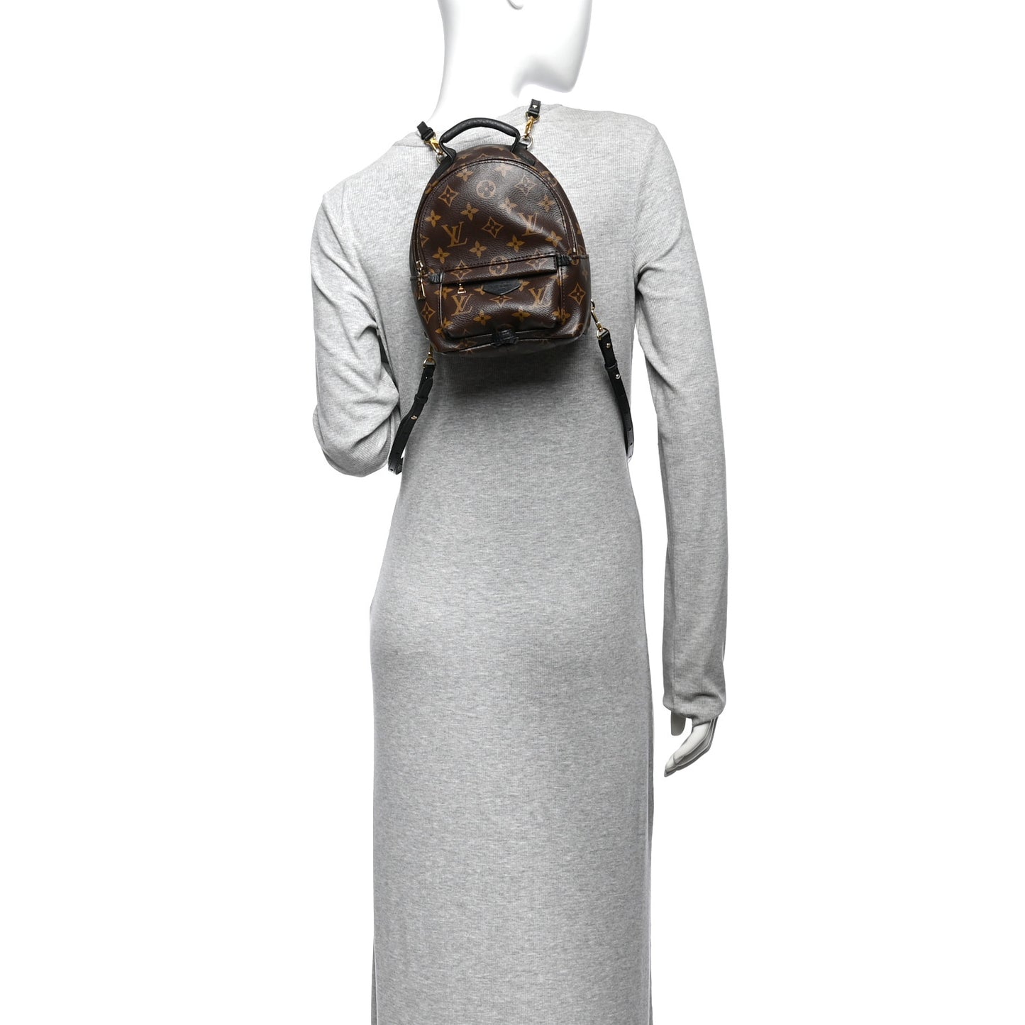 Monogram Palm Springs Backpack Mini