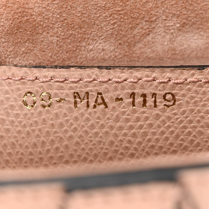 Christian Dior Grained Calfskin Saddle Bag Fard 7 of 12