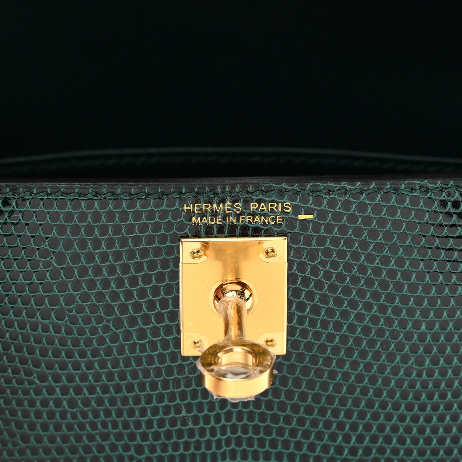 Hermes Shiny Lizard Mini Kelly Sellier 20 Vert Cypress 6 of 10
