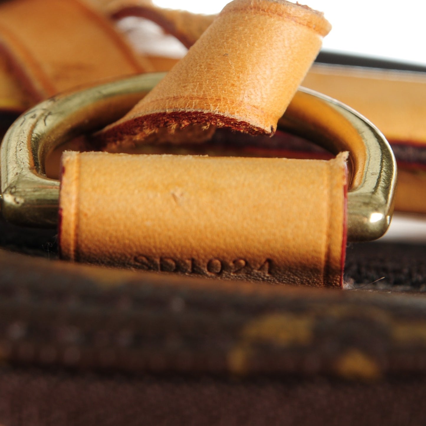 Monogram Pegase 55