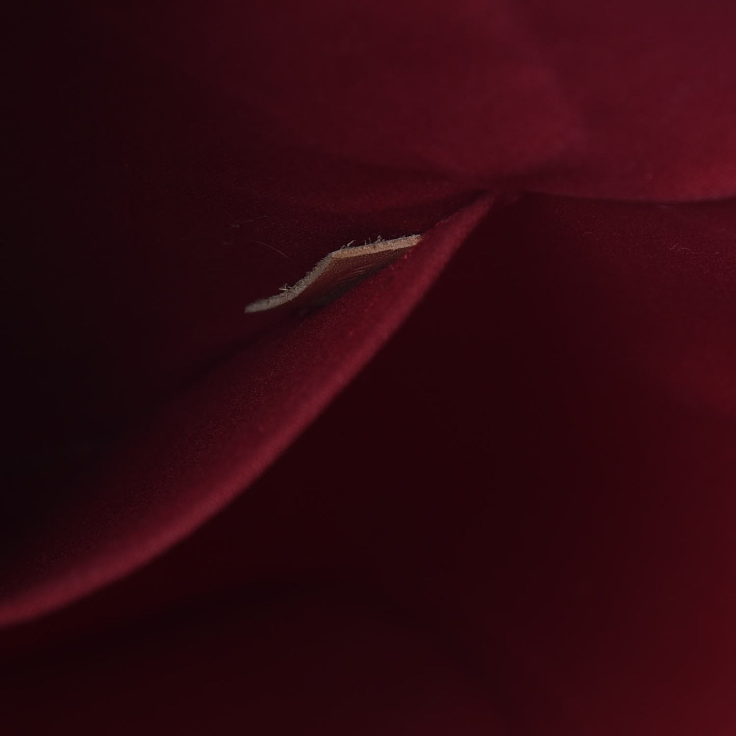 Vernis Alma GM Pomme D'Amour