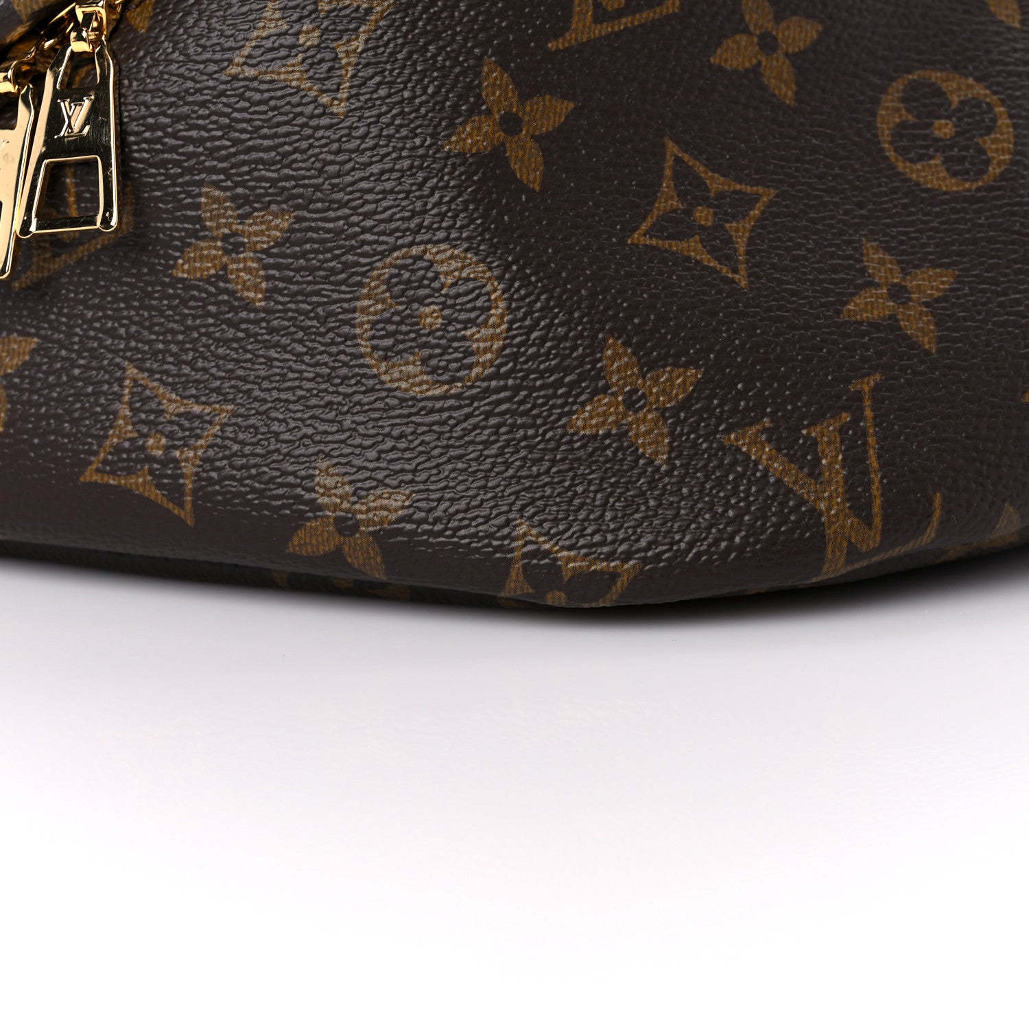 Louis Vuitton Monogram Bumbag 7 of 11