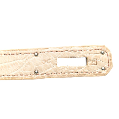 Hermes Matte Niloticus Crocodile Birkin 30 Parchemin 7 of 10