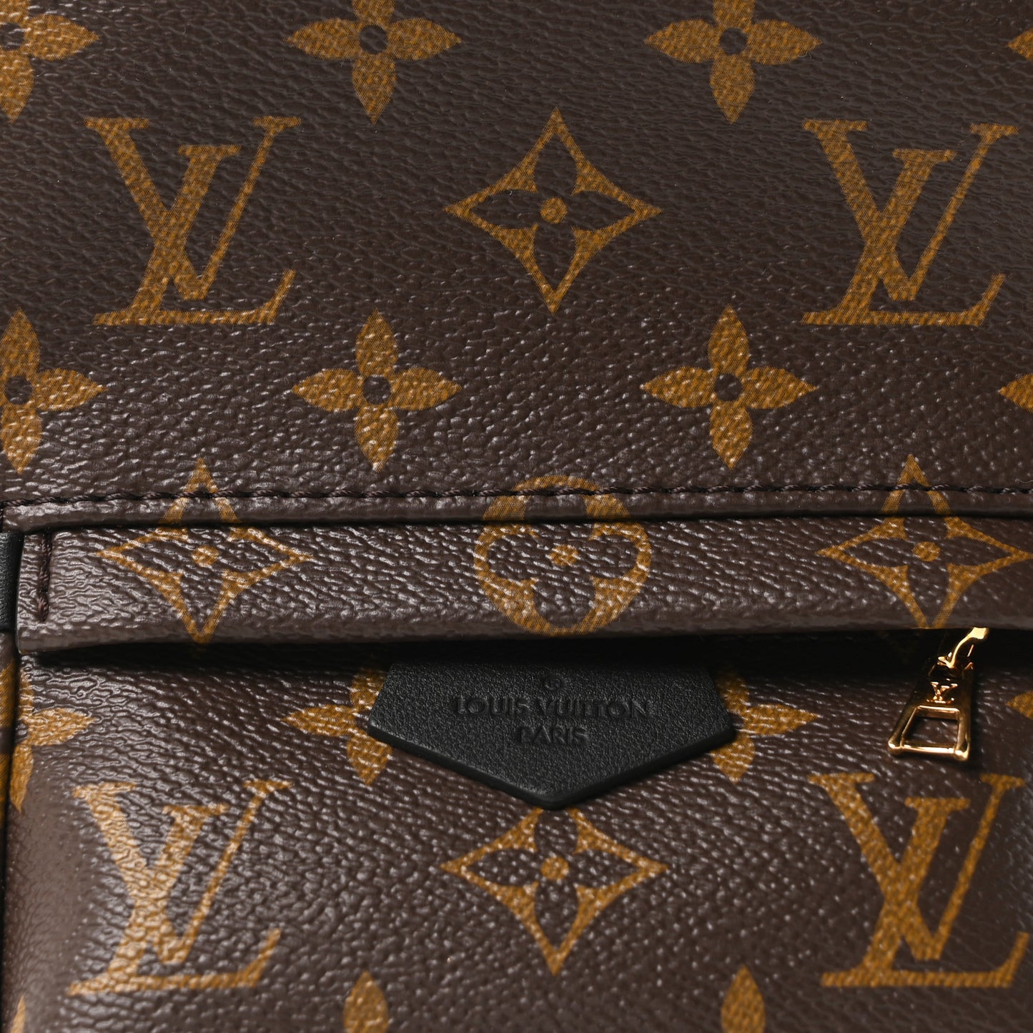 Monogram Palm Springs Backpack Mini