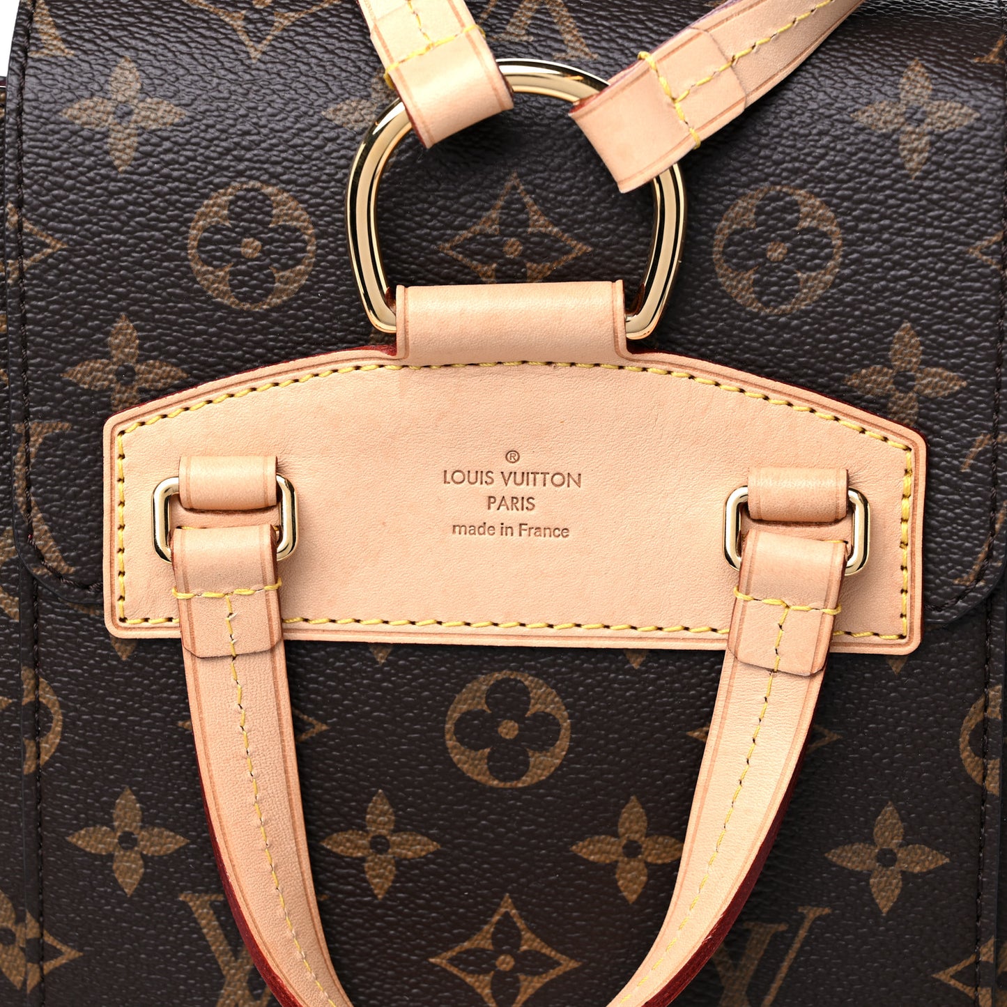Monogram Montsouris NM Backpack