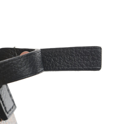 Goyard Goyardine Saint Louis PM Black 10 of 11