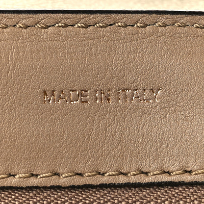 Celine Smooth Calfskin Suede Medium Tri-Color Trapeze Olive 7 of 9