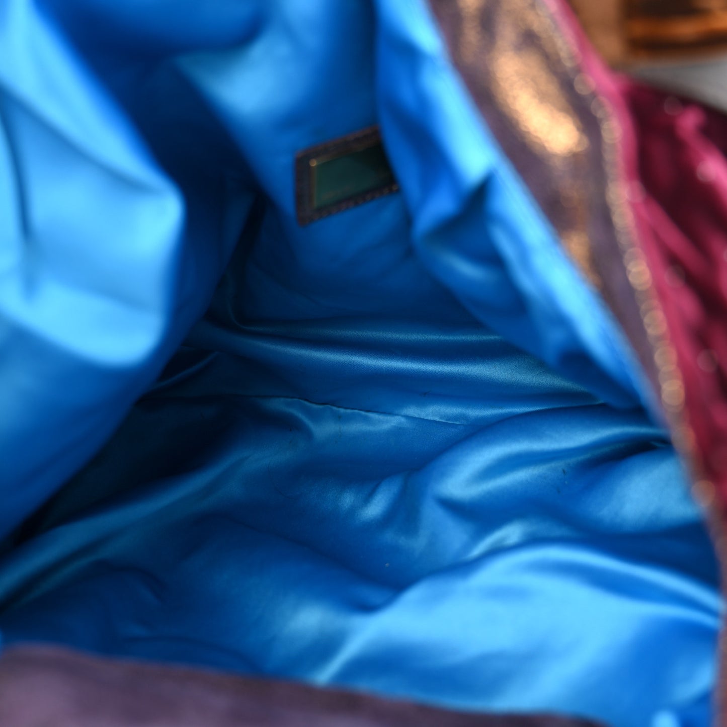 Velvet Embroidered Squirrel Spy Bordeaux Multicolor