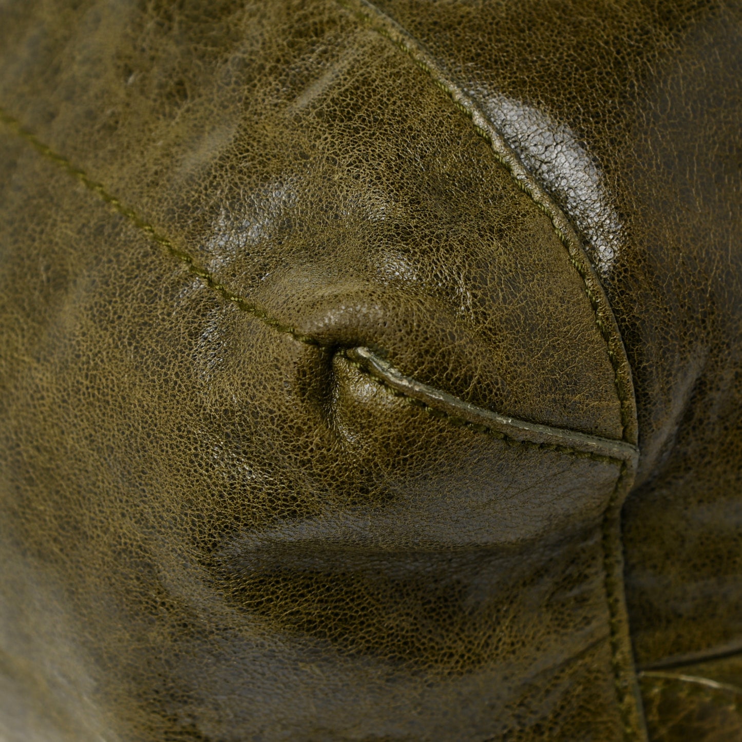 Agneau Classic Hardware Day Hobo Olive