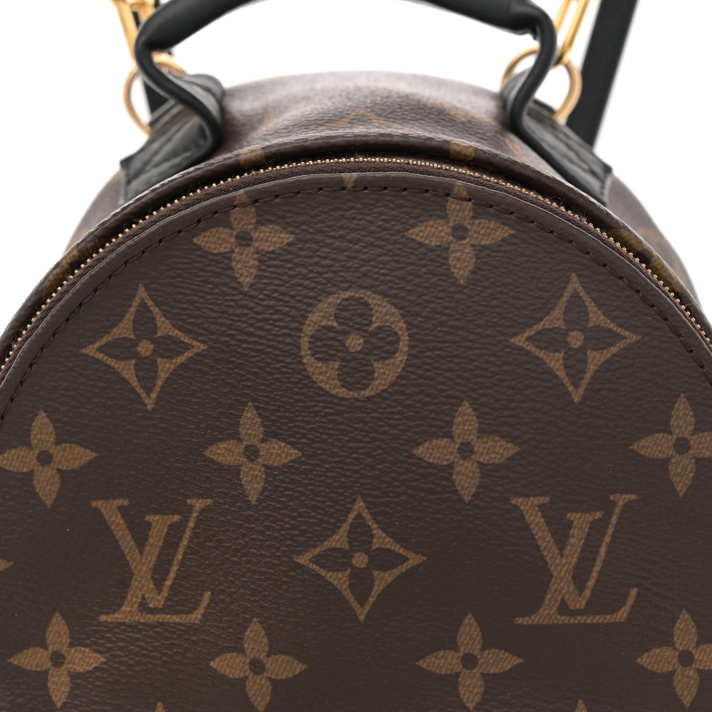 Monogram Palm Springs Backpack Mini