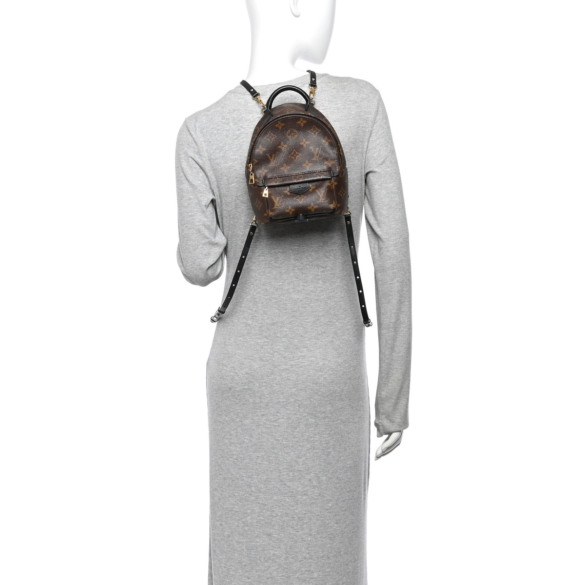 Monogram Palm Springs Backpack Mini