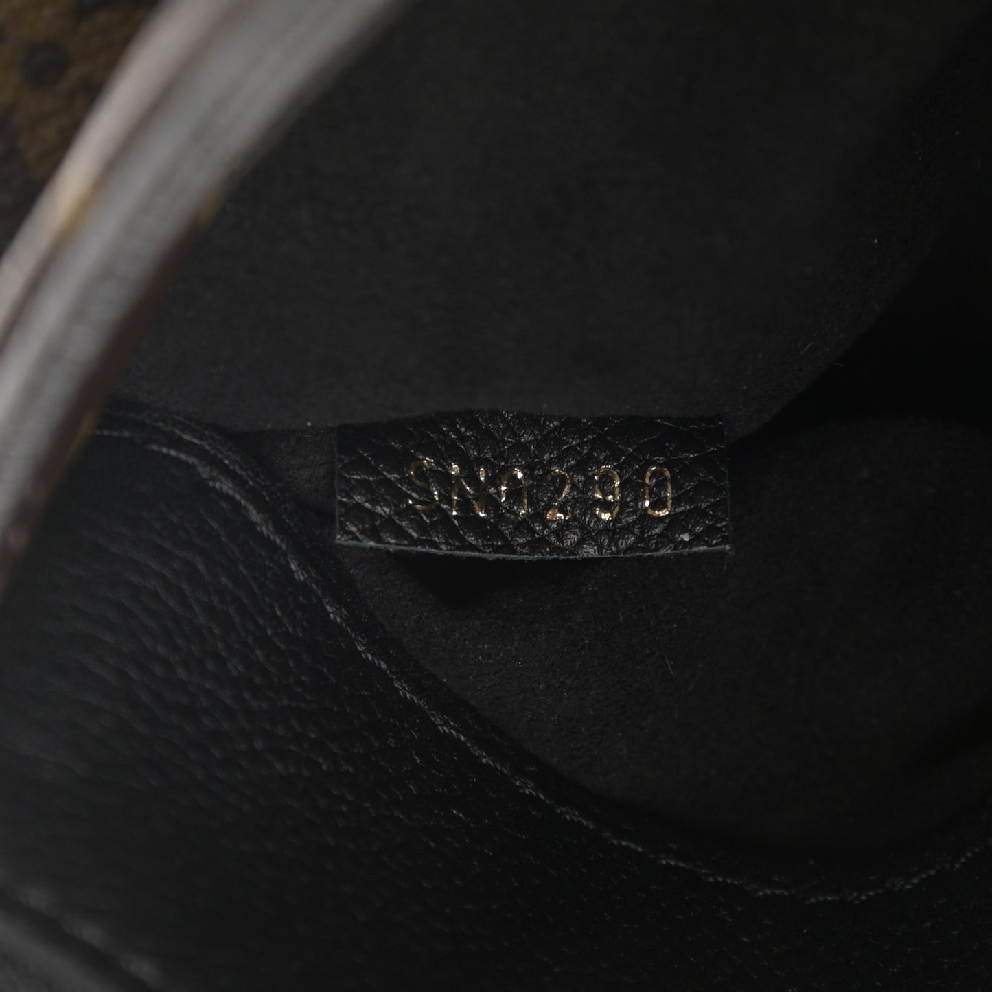 Monogram Pallas Full BB Black
