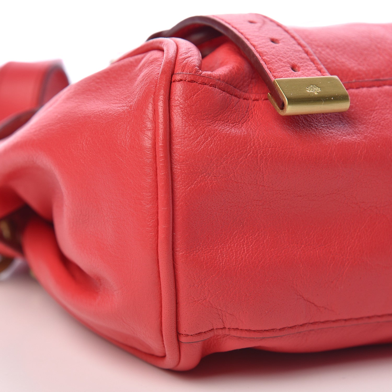 Mulberry Soft Buffalo Mini Alexa Watermelon 13 of 15