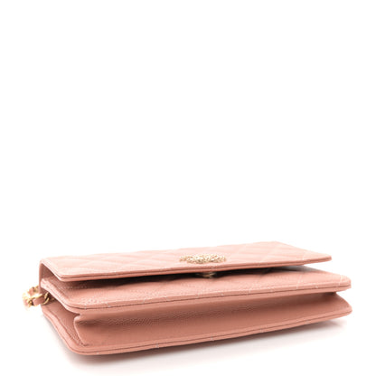 Chanel Caviar Quilted Perforated Metal CC Wallet On Chain WOC Beige 4 of 12