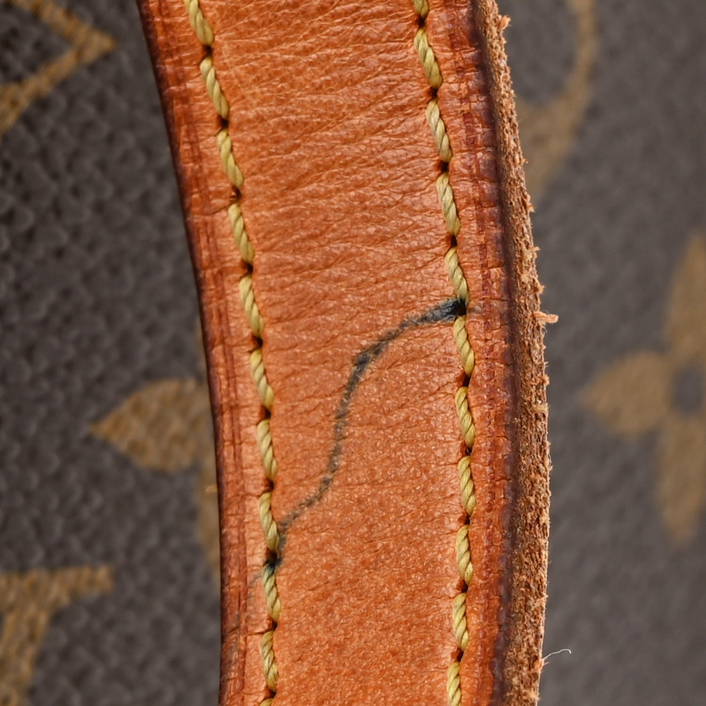 Monogram Ellipse Sac a Dos Backpack