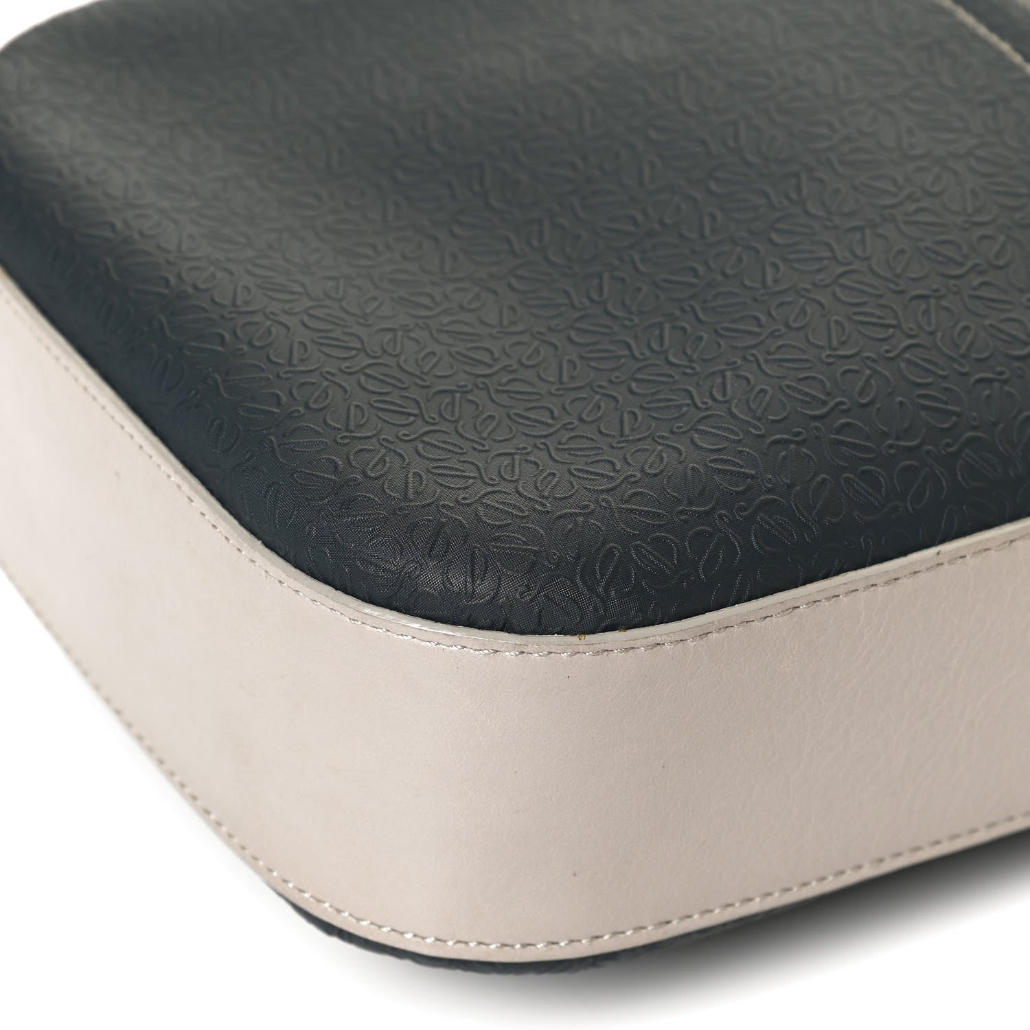 Loewe Calfskin Embossed Anagram Crossbody Bag Multicolor 9 of 10