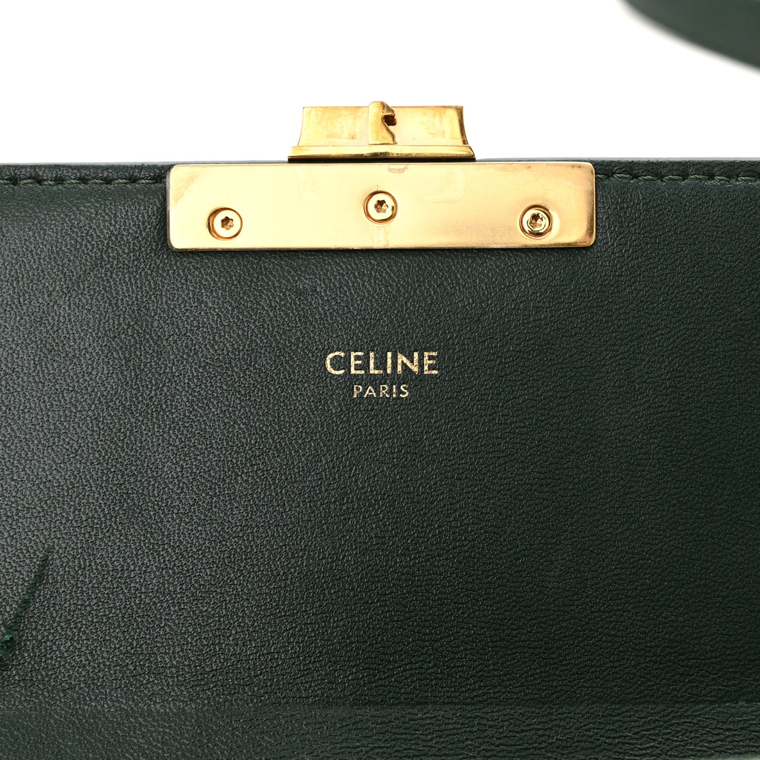 Celine Watersnake Teen Triomphe Green 1708060 – FASHIONPHILE
