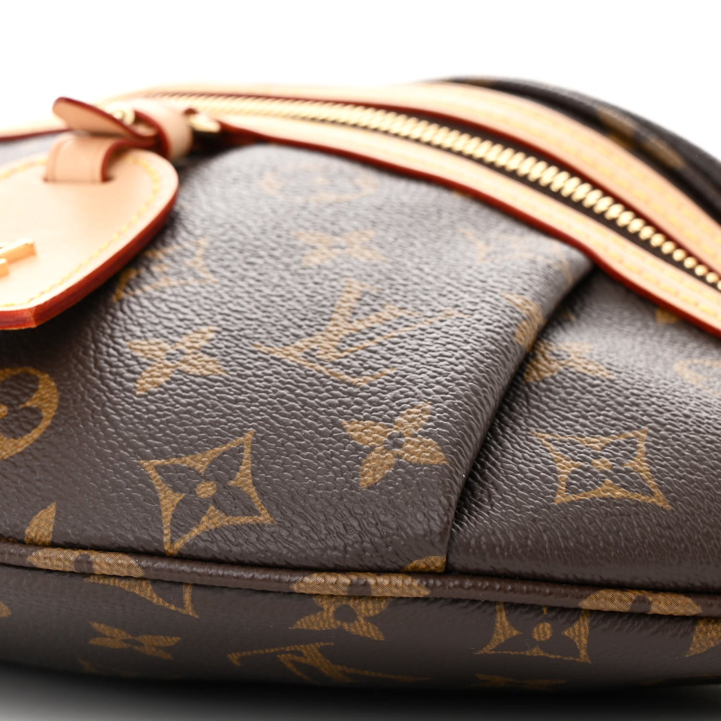 Monogram High Rise Bumbag