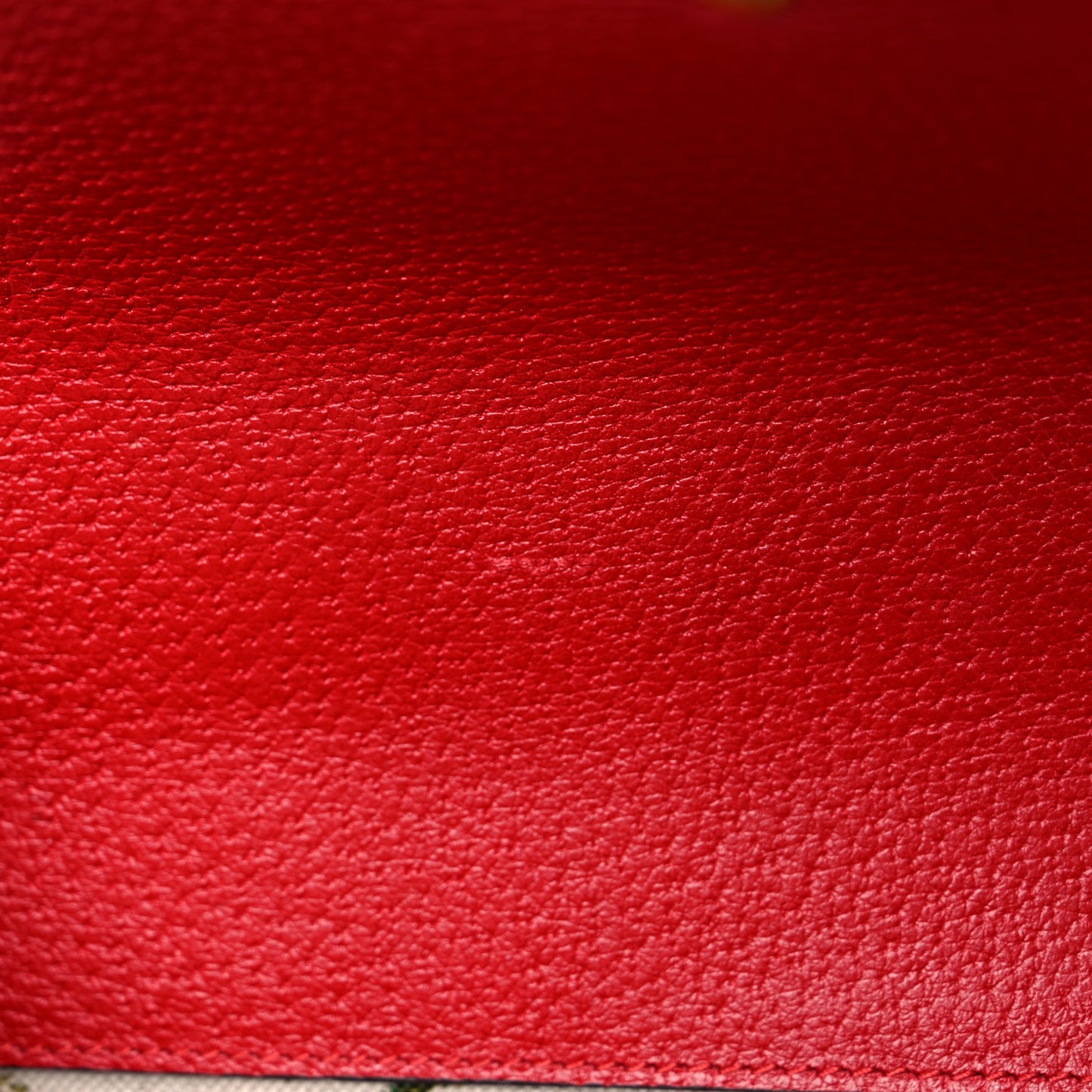 Calfskin Web Floral Embroidered Small Dionysus Shoulder Bag Hibiscus Red