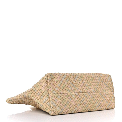 Bottega Veneta Nappa Intrecciato Medium Cabat Multicolor 4 of 27